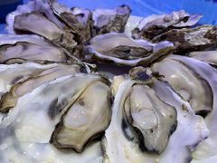 -千岛蚝高压锅生蚝·人参火锅(白云万达店)