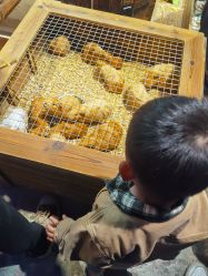 -酷嗒动物文化乐园(cutezoo西溪乐天城店)