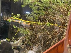 -野渡坡·极致湘菜·庭院餐厅(汉阳店)