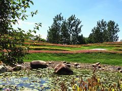 -南通洲际绿博园