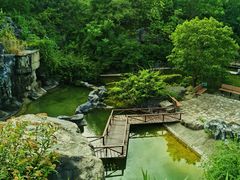 -上海吴淞炮台湾国家湿地公园