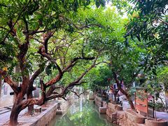 -小洲村