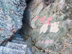 -天女山森林公园