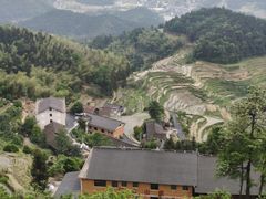 -紫鹊界梯田景区