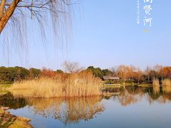 -尚贤河湿地