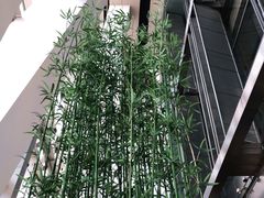 -上海柏悦酒店·世纪100牛排馆