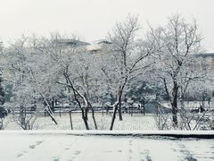 -清华大学-观畴园餐厅