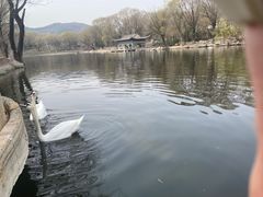 -石家庄市动物园