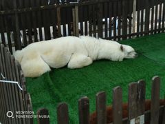 -上海颛桥万达广场