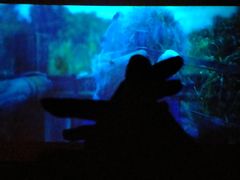 -大世界影城(无锡江南大悦城IMAX激光店)