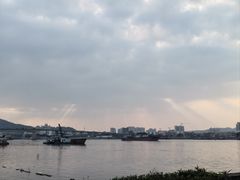 -海鸥岛