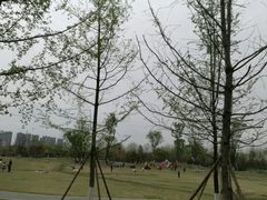 -府河摄影公园