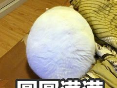 -蔡林记(汉街店)