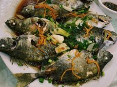 清蒸白鲚鱼-安记烧鹅(新桥店)