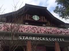 -星巴克臻选(思南公馆店)