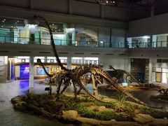 -自贡恐龙博物馆
