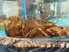 -百富源·海鲜辽菜(张士店)