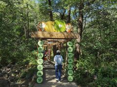 -大岭沟猕猴桃谷风景区