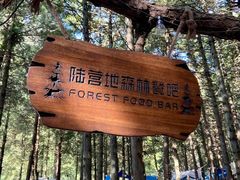 -重庆睡佛山森林公园