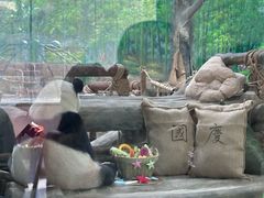 -灵玲国际马戏城