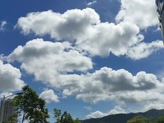 -光明刘冰乳鸽店(光明法政北路店)