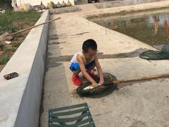 -万源龙顺度假庄园生态观光园