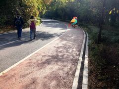 -长春市南湖公园