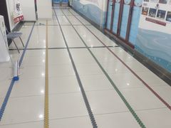 -北京科技大学-游泳馆