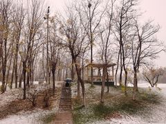 -万柳高尔夫俱乐部