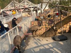 -J Create城市露营咖啡·简餐·宠物(上海动物园店)