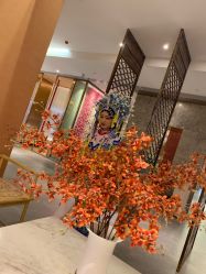点击看大图 -盘子女人坊古装写真摄影(南京总店)