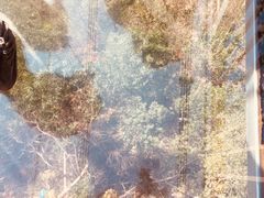 -牛鱼嘴原始生态风景区