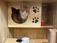 -Fun Job Art 零基础油画国画DIY画室(望京店)