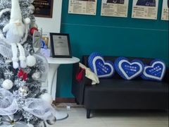 -维乐口腔(格林门诊长宁店)