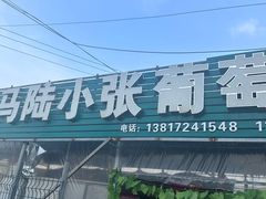 -马陆小张葡萄园农家乐