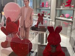 -ROSEONLY诺誓(广州K11店)