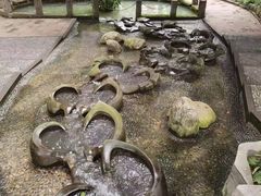 -成都市活水公园