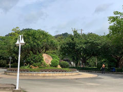 -滴水岩森林公园