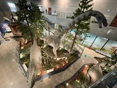 -湖南省地质博物馆