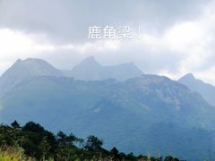 -秦岭风景区