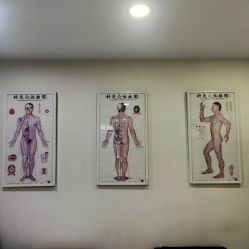 -赵大夫减肥