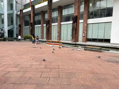 -广州人民艺术中心