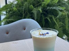 -辰熙ACX星海艺术中心