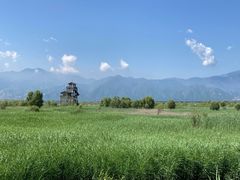 -野鸭湖国家湿地公园