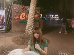 -清迈夜间动物园