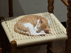 -初甜·舒芙蕾·韩式雪花冰(流塘店)