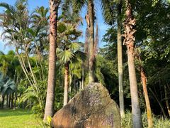 -金山植物公园