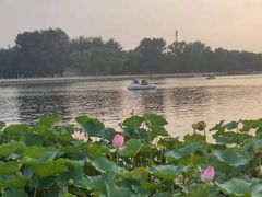 -后海公园