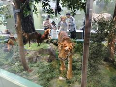 -国家自然博物馆