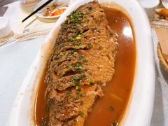 -松针蔡记蒸饺(花园路店)